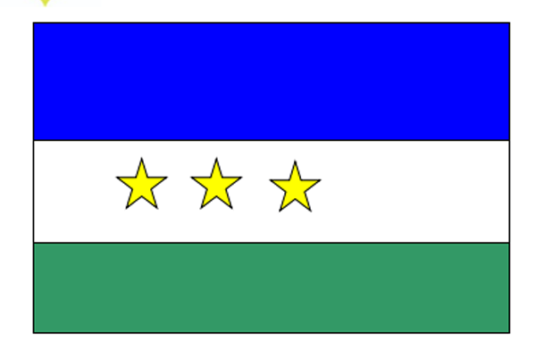 Bandera Institucional
